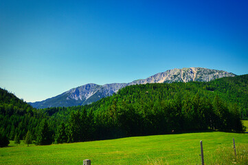 Mamauwiese mit Blick zum Schneeberg, Niederösterreich