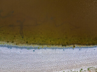 Close up of drying Pond in the end of summer