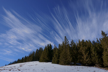 fine clouds blow up from the wind near a forest