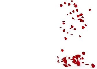 Red rose petals fall to the floor