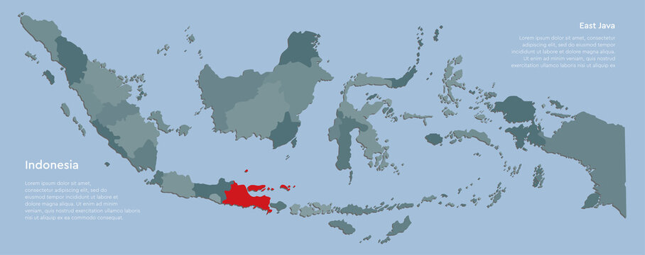 Province East Java and country vector map Indonesia
