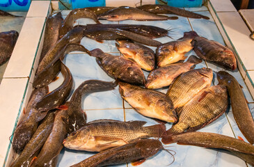 Seafood from Naklua Thailand Southeast Asia