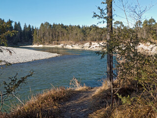 die ursprüngliche Isar im Naturschutzgebiet Pupplinger Au bei Wolfratshausen (Obb.)