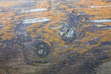 Parque Natural Nacional de Somiedo, Valle del Lago, Asturias.