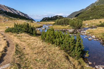Fototapeta premium Banderitsa River at Pirin Mountain, Bulgaria