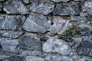 Nature Stone Background