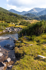 Fototapeta premium Banderitsa River at Pirin Mountain, Bulgaria