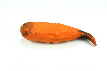 Rotten carrot isolated on the white background. 