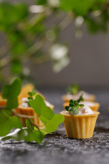 Canapes with light cream filling. Still life with microgreens. The concept of an appetizing snack.