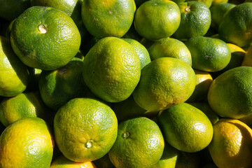 Tropical green tangerines in the market, fresh and juicy