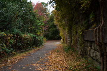 path in the park