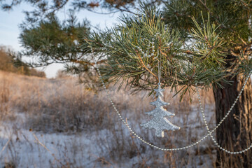 winter, day, december, christmas, forest, landscape, white, snow, silver, small, toy, christmas tree, branch, tree, pine, space, distance, light, shadow, glare, nature, walk, beauty, style, design
