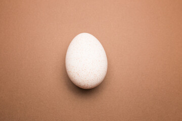 Turkey egg on brown background close up