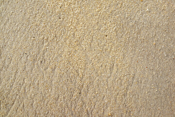 Fototapeta na wymiar Sand texture. Sandy beach background. Top view