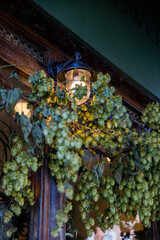Small traditional lamp hanging from a wall and surrounded by plants