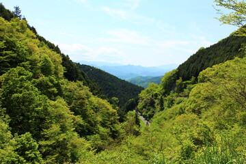Fototapeta na wymiar 里の風景　相模原市緑区にある佐野川地区は山間の傾斜地にある段々茶畑が魅力、日本の里百選にも選ばれた美しい村。