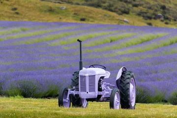 Schilderijen op glas purple tractor in front of a lavender field © Seppo