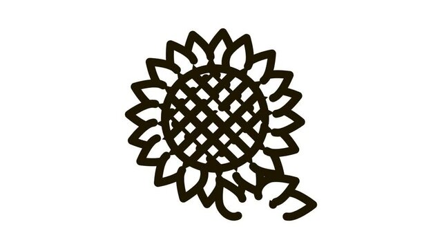 sunflower seeds Icon Animation. black sunflower seeds animated icon on white background