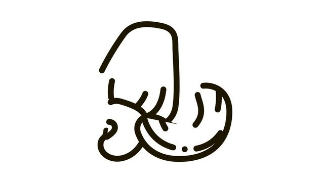 cashew nut Icon Animation. black cashew nut animated icon on white background