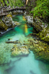 Fototapeta na wymiar Breathtaking view over colorful Radovna river in Vintgar Gorge, Slovenia. Long exposure.