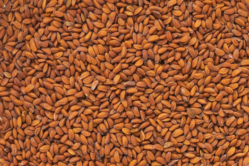 Watercress seeds. Top view. Flat lay.