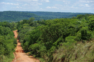 Fototapeta na wymiar Route en terre rouge traversant la jungle argentine dans la province de Misiones près de San Ignacio