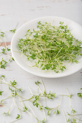 White plate with watercress microgreens on white wooden textured background.
