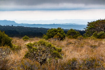 landscapes on tongariro hiking path