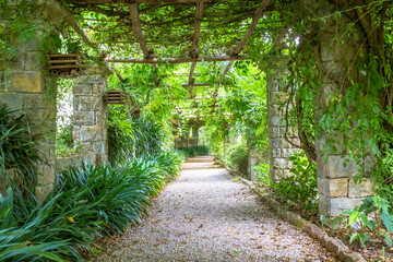 Garden with Pergola structure during summer season. Architecture and design inspired by nature.