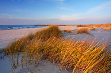  Wydmy na wybrzeżu Morza Bałtyckiego,plaża, trawa,biały piasek,Kołobrzeg,Polska.