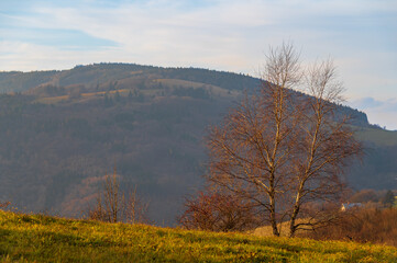 B&iacute;l&iacute; Karpaty