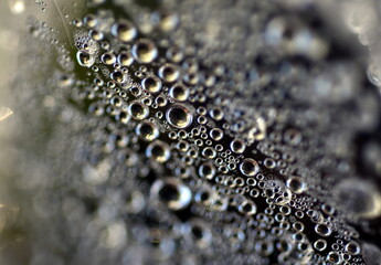 Plastikfolie mit Regentropfen