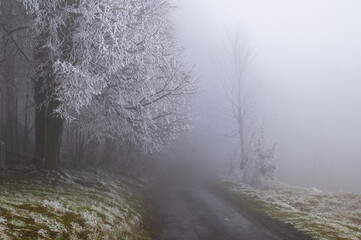 Fototapeta na wymiar Zima v Bílých Karpatech