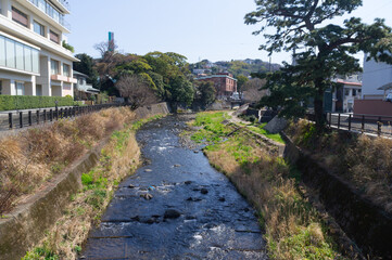 Fototapeta na wymiar 静岡県伊東市の松川遊歩道