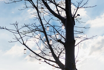 Phetchabun, Thailand - November, 29, 2020 :A glass jar with a small light bulb decorated on the tree, used to decorate at night.