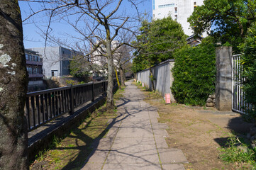 静岡県伊東市の松川遊歩道