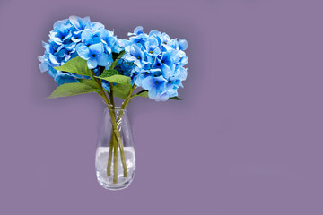 Bouquet of artificial flowers with blue petals and green leaves stands in a transparent vase on a purple background.