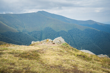 Green mountains, Summer landscape. Carpathian national park