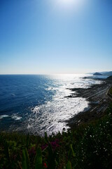 日南海岸 (Nichinan coast)