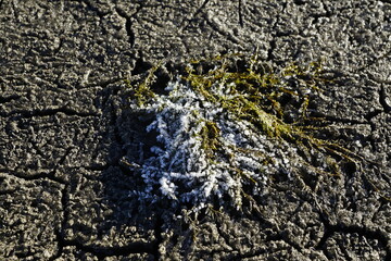 Der entleerte Stausee Forggensee im Allgäuer Alpenvorland 