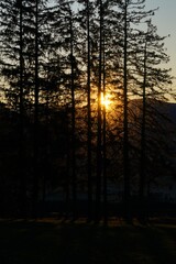 Sonnenaufgang an der Allgäuer Alpenketten im Winter