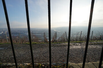 Weinberge mit blick auf das neblige Würzburg