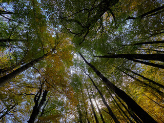 Autumn, views on the Ordesa valley trekking route, Aragonese Pyrenees, Spain