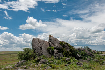 Pride Rock over the endless plains of Serengeti 