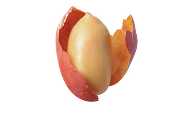 organic peanuts salted snack chapped fly in air  healthy food  on white isolated with clipping path