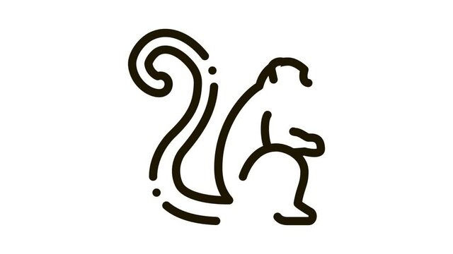 malaysian monkey Icon Animation. black malaysian monkey animated icon on white background