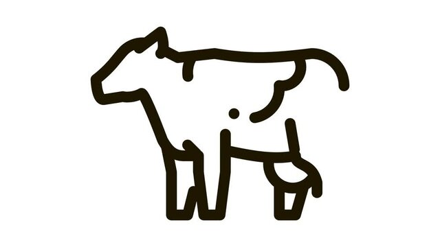 milch cow Icon Animation. black milch cow animated icon on white background