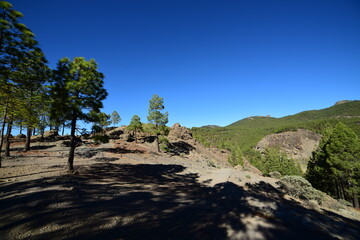 Naturpfad auf Gran Canaria in den Bergen