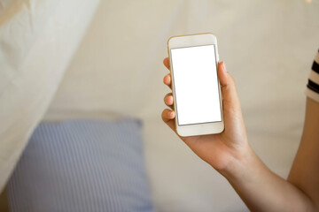 Blank display smartphone on shopping store online display text pay and shopping cart on screen