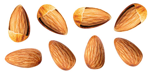Almond nuts Mixed piece on white isolated with clipping path
